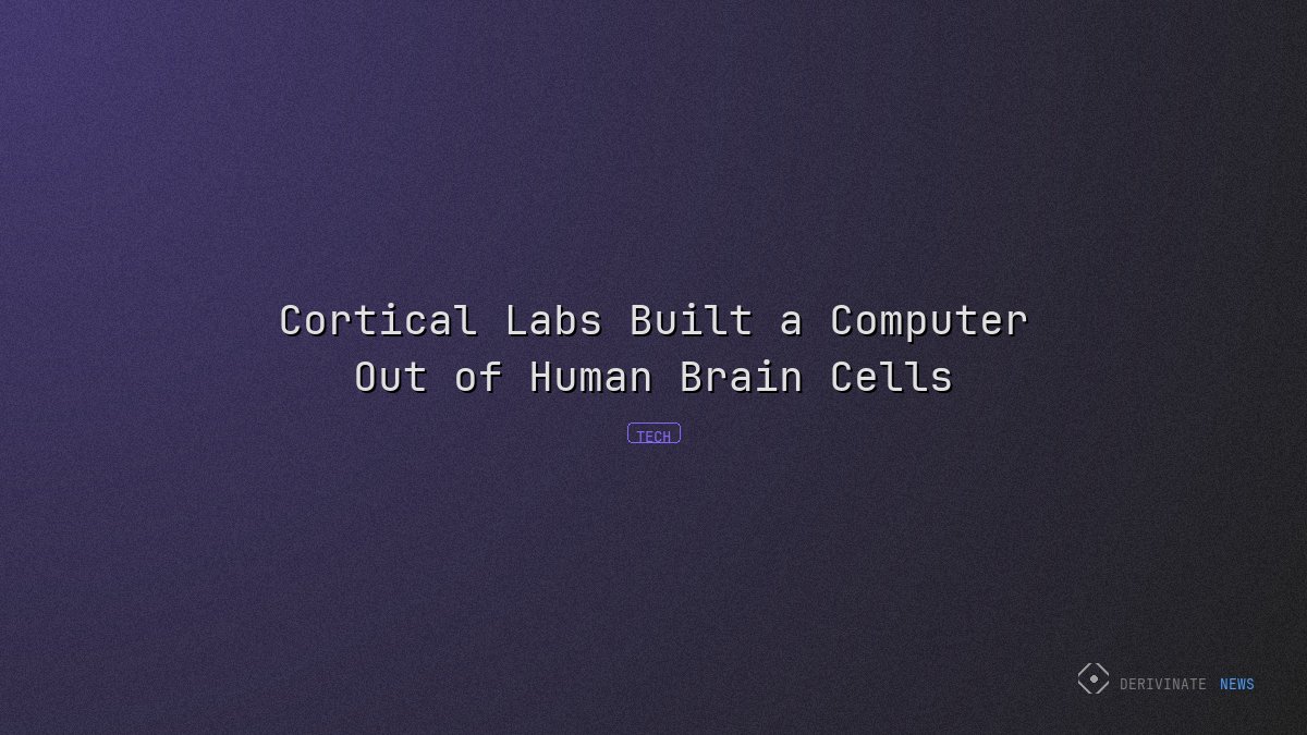 Cortical Labs Built a Computer Out of Human Brain Cells